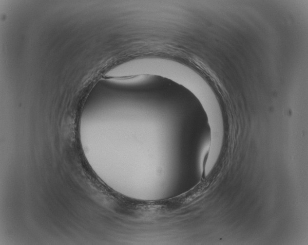 X0000081490497200702100033