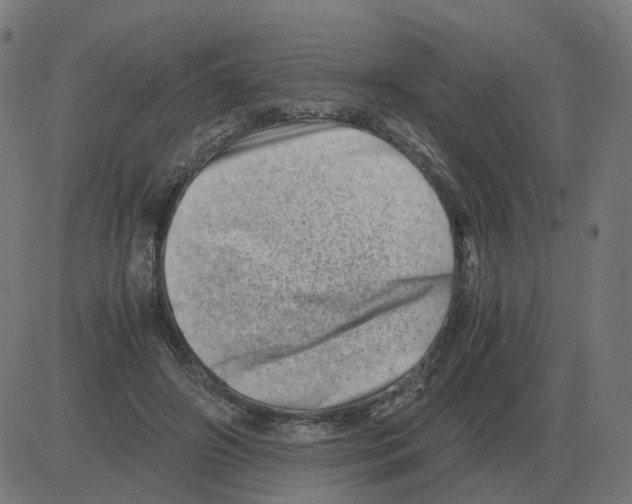 X0000081490498200702100033