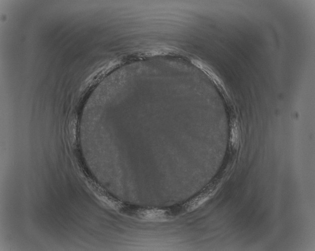 X0000081490501200702100033