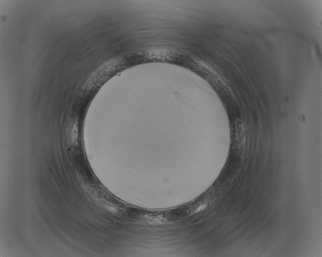 X0000081490502200702100033