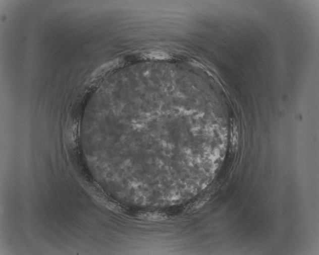 X0000081490503200702100033