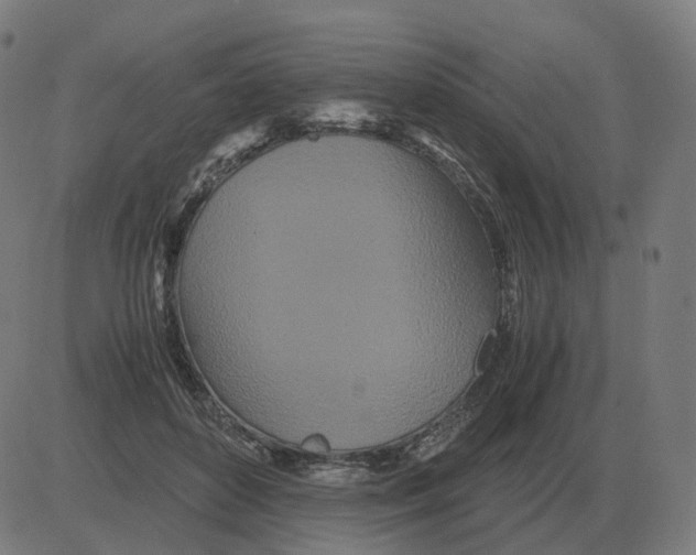 X0000081490504200702100033