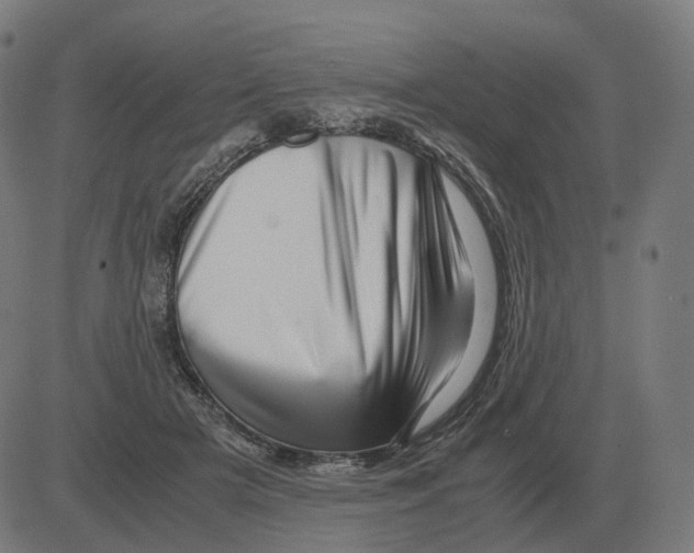 X0000081490505200702100033