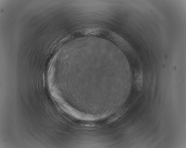 X0000081490506200702100033