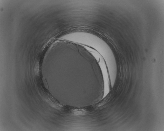 X0000081490508200702100033