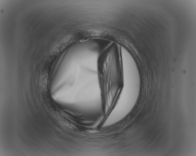 X0000081490509200702100033