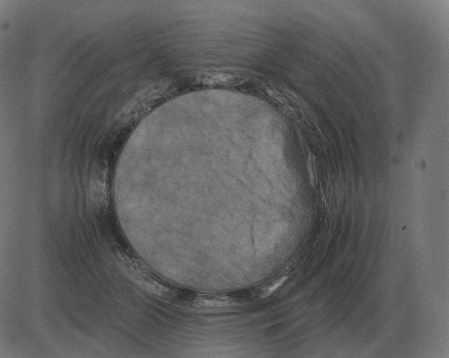 X0000081490510200702100033