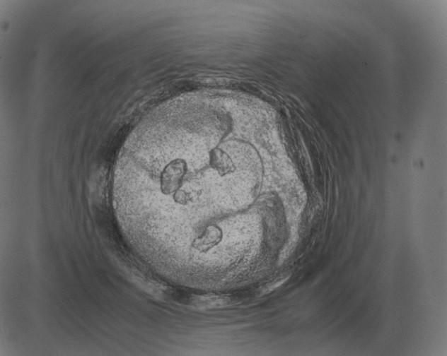 X0000081490511200702100033