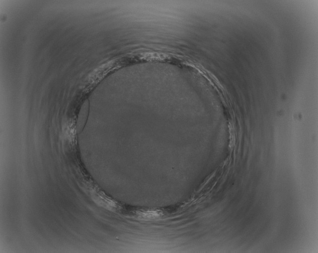 X0000081490513200702100033