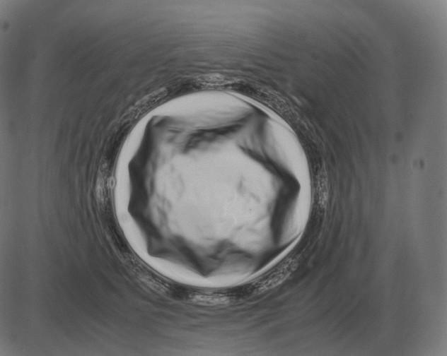 X0000081490515200702100033