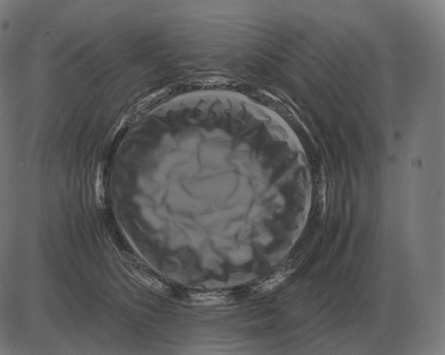 X0000081490516200702100033