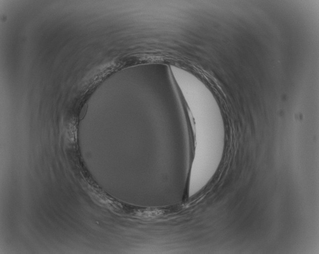 X0000081490517200702100033