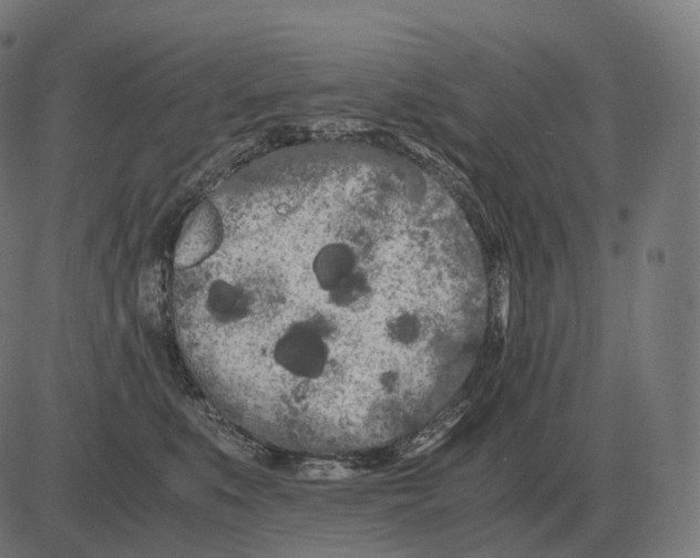 X0000081490519200702100033