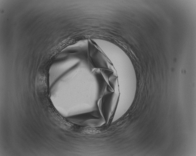 X0000081490521200702100033