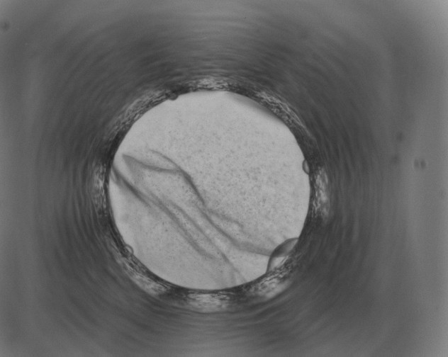 X0000081490522200702100033