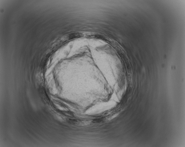 X0000081490523200702100033