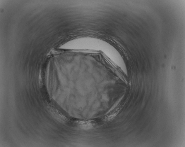 X0000081490524200702100033