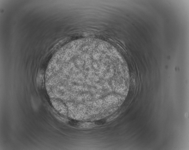 X0000081490527200702100033