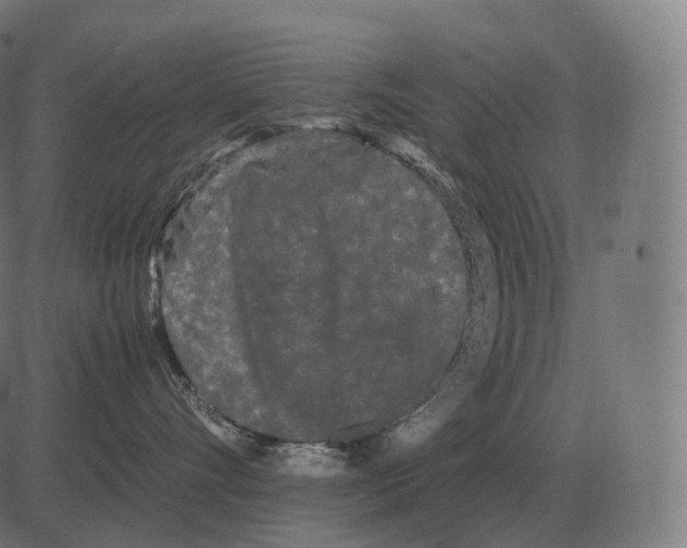 X0000081490528200702100033