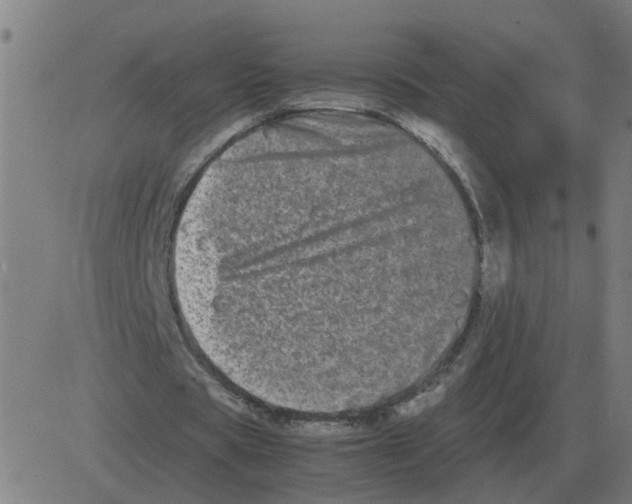 X0000081490529200702100032