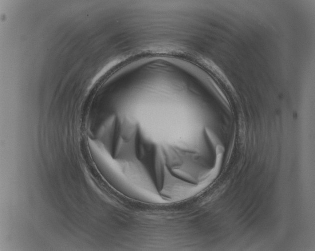 X0000081490530200702100032