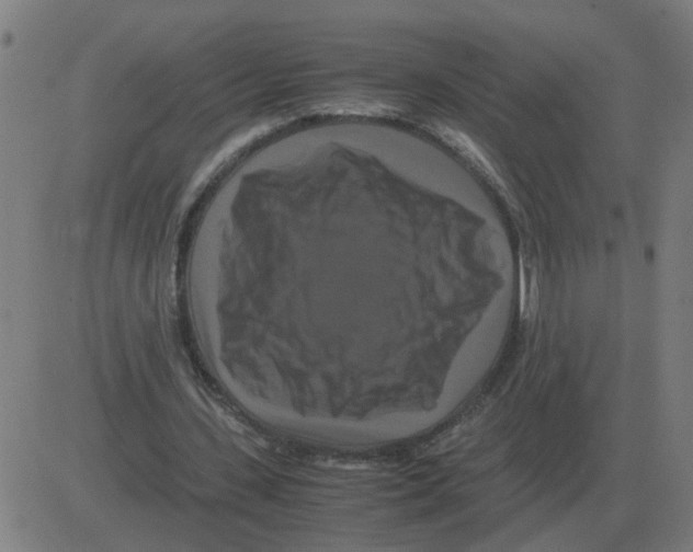 X0000081490531200702100032