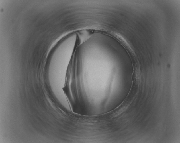 X0000081490532200702100032