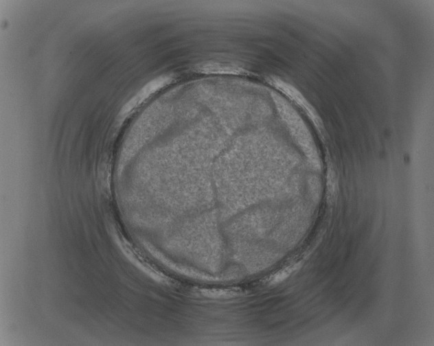 X0000081490533200702100032