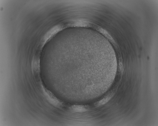 X0000081490534200702100032