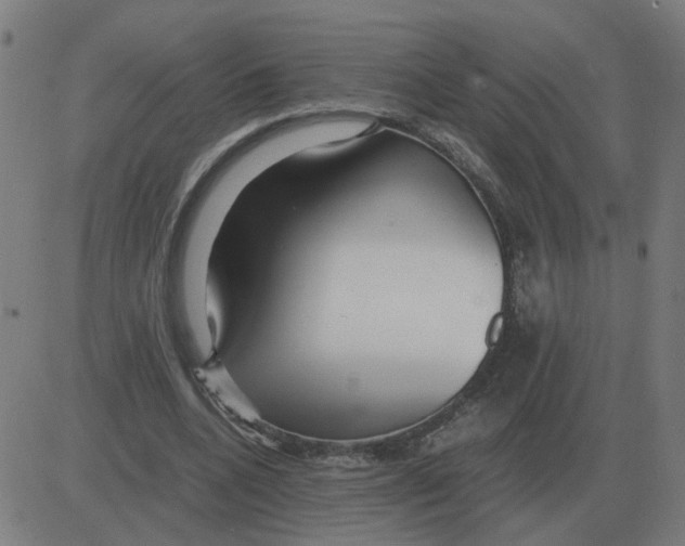 X0000081490536200702100032