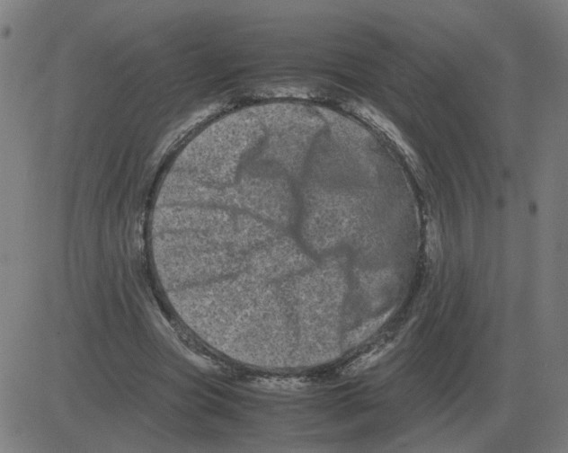 X0000081490537200702100032