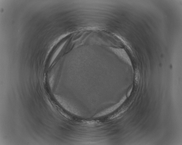 X0000081490540200702100032