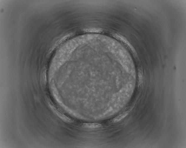 X0000081490541200702100032