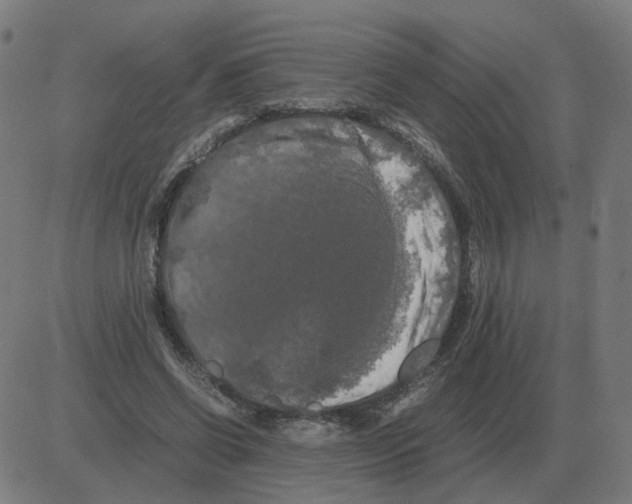 X0000081490542200702100032