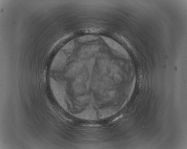 X0000081490543200702100032