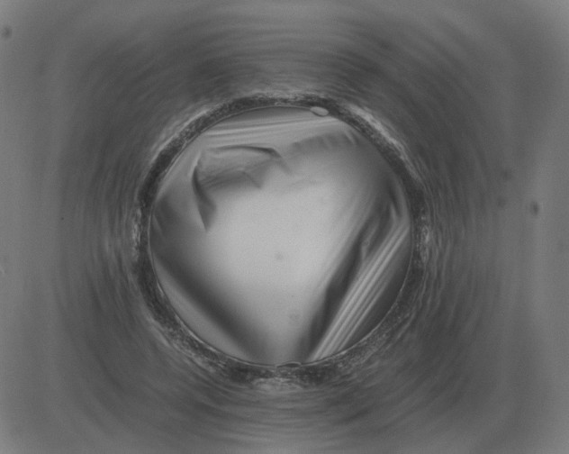 X0000081490544200702100032