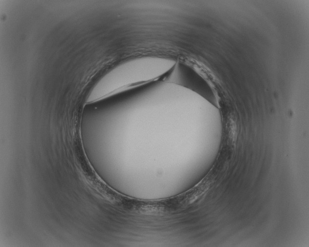 X0000081490546200702100032