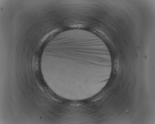 X0000081490547200702100032