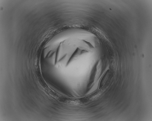 X0000081490548200702100032