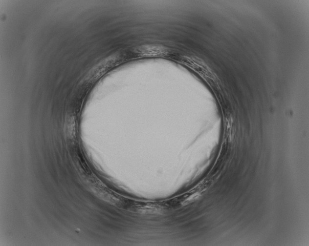 X0000081490549200702100032