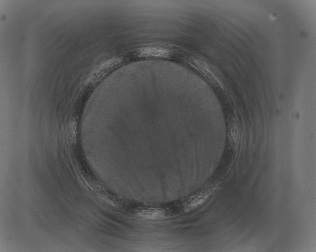 X0000081490551200702100033