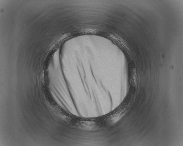 X0000081490552200702100033