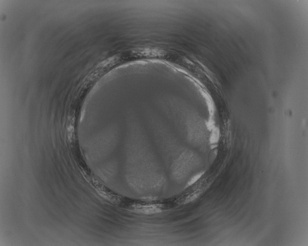 X0000081490553200702100033