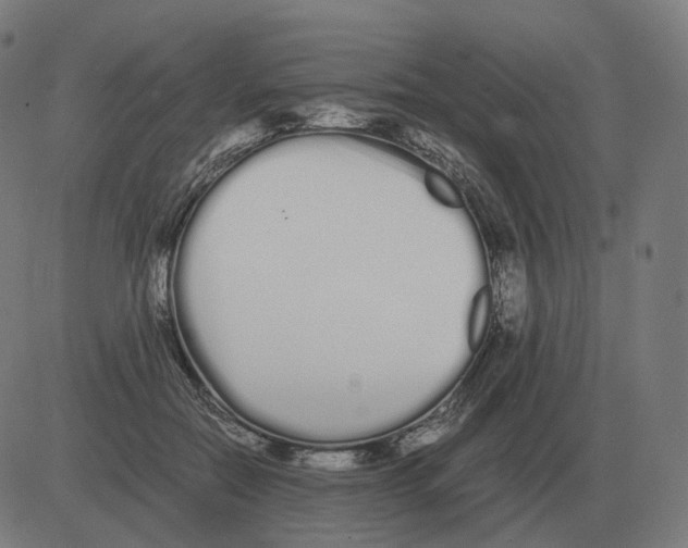 X0000081490554200702100033