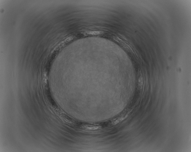 X0000081490555200702100033