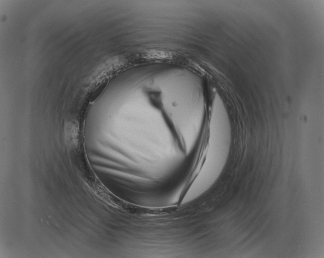 X0000081490556200702100033