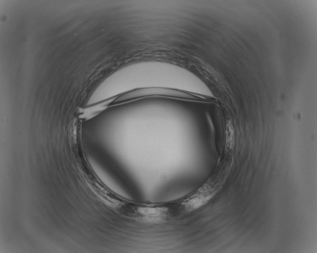 X0000081490558200702100033