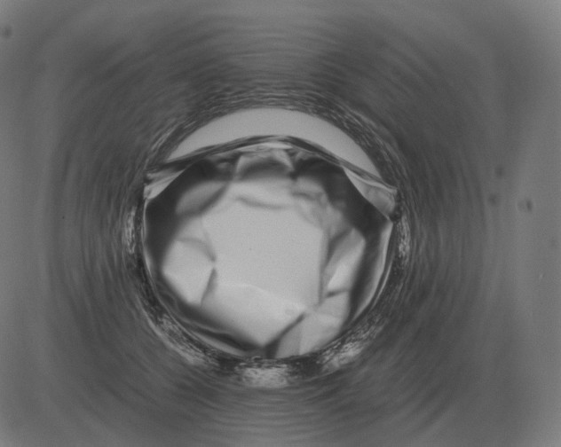 X0000081490560200702100033