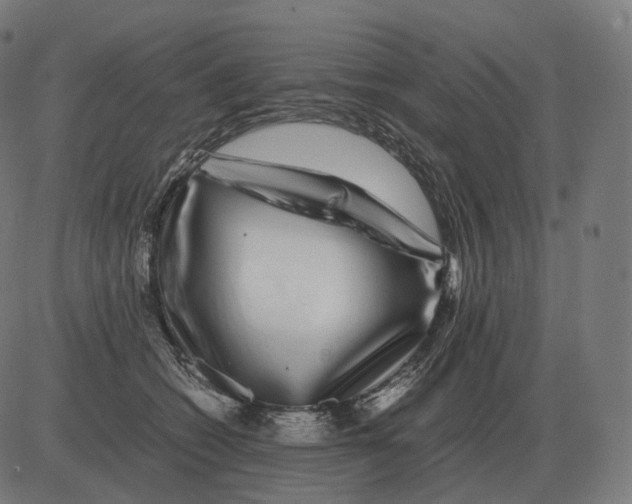 X0000081490562200702100033