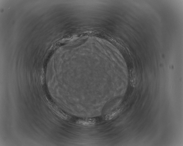 X0000081490563200702100033